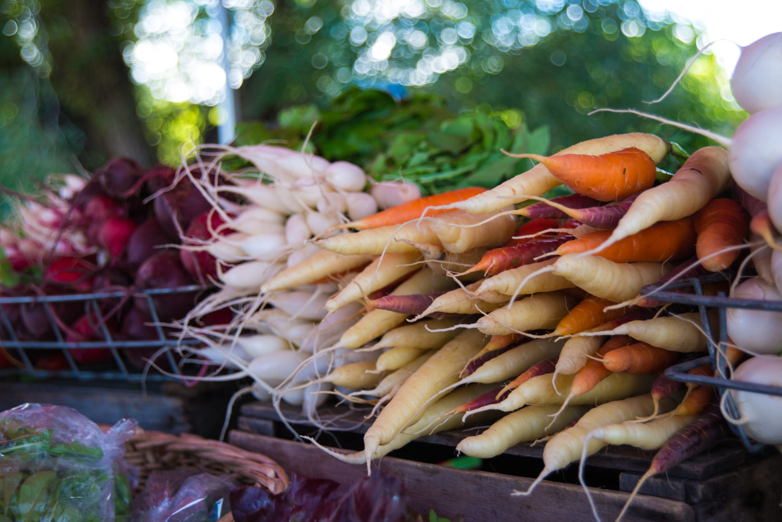 5 Michigan Food Systems Organizations You Should Know